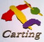 CARTING ASESORES S.L.