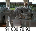 Carpa en jardin