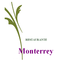 RESTAURANTE MONTERREY