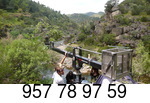 Ruta Entrelobos