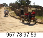 Paseos en carro